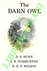 The barn owl.