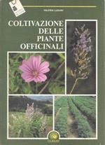 Coltivazione delle piante officinali