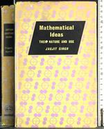 Mathematical Ideas