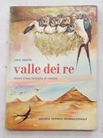 Valle dei re. Storia di una famiglia di rondini