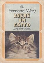 Avere un gatto