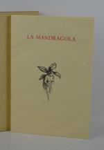 Mandragola