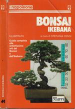 Bonsai Ikebana