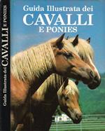 Guida Illustrata dei Cavalli e dei Ponies