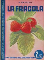 La fragola