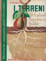 I terreni per le piante legnose da frutto