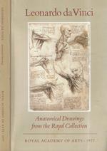 Anatomical drawings from the royal collection