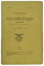 Bollettino Del Club Alpino Italiano. Anno 1887. Vol.Xxi