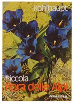 Piccola Flora Delle Alpi. 169 Illustrazioni A Colori
