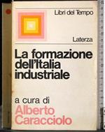 formazione dell'Italia industriale