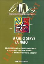 A che ci serve la NATO? N° 4/99