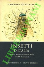 Insetti d’Italia.