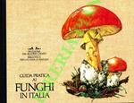 Guida pratica ai funghi in Italia