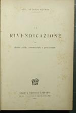 rivendicazione nel diritto civile, commerciale e processuale