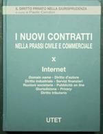 I nuovi contratti nella prassi civile e commerciale - Vol. X Internet