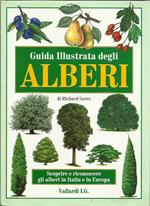 Guida illustrata degli alberi