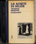 Le acque di Siloe