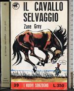 Il cavallo selvaggio