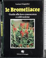 Le bromeliacee