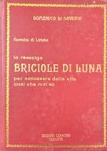 Raccolta di Liriche. Io raccolgo Briciole di Luna per conoscere della vita quel che non so