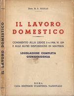 Il lavoro domestico