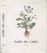 Flora del Carso