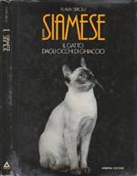 Il siamese