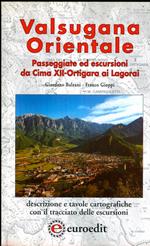 Valsugana orientale: passeggiate ed escursioni lungo il bacino del fiume Brenta: dalla Catena di Cima XII e Ortigara ai Lagorai