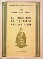 Sui campi di battaglia: il Trentino, il Pasubio, gli altipiani: Guida storico-turistica