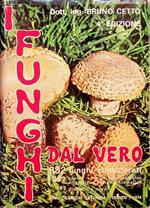 I funghi dal vero: 882 funghi considerati, 382 specie a colori da fotocolor originali in ordine sistematico, 192 disegni in nero