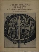 Orto Botanico Di Padova E Il Giardino Del Rinascimento