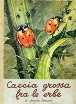 Caccia Grossa Fra Le Erbe