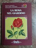 Rosa Nel Giardino