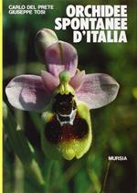 Orchidee Spontanee D'Italia