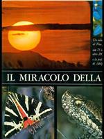 Miracolo Della Vita