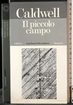 Il piccolo campo