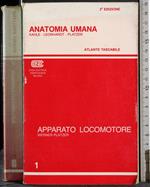 Anatomia umana. Apparato Locomotore. Vol 1