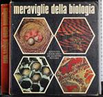 Meraviglie della biologia