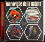 Meraviglie della natura