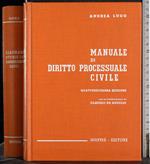 Manuakle di diritto processuale civile