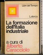 formazione dell'Italia industriale