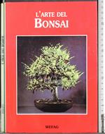 L' arte del bonsai