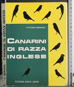 Canarini di razza Inglese