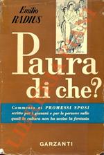 Paura di che? Commento ai «Promessi Sposi» scritto per i giovani e per le persone nelle quali la cultura non ha ucciso la fantasia