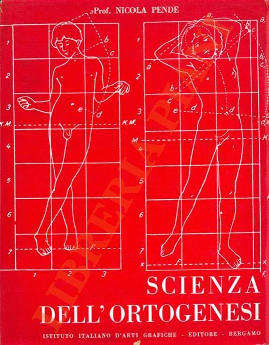 Scienza dell'ortogenesi. - Nicola Pende - copertina