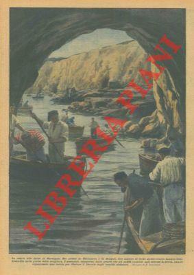 caccia alle foche in Sardegna. Nei pressi di Terranova e di Dorgali, fitte schiere (sic!) di foche mediterranee hanno eletto domicilio nelle grotte della scogliera. I pescatori, esasperati dalle avarie che gli anfibi (ri-sic!) causano agli attrezzi d - R. Salvadori - copertina