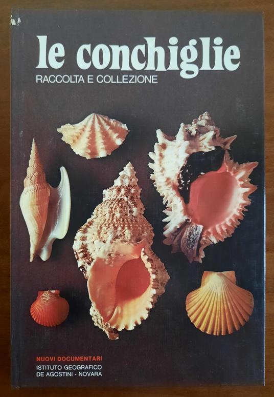 Le conchiglie. Raccolta e collezione - Sergio Angeletti - copertina