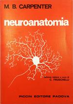 Neuroanatomia