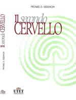 Il secondo cervello