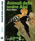 Animali delle nostre Alpi